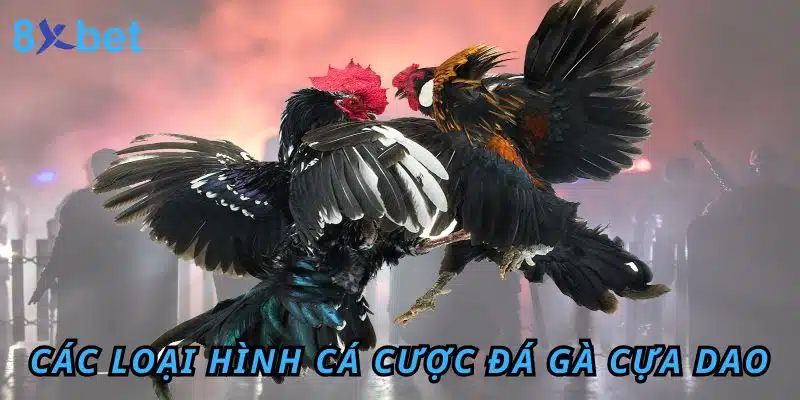 Các loại hình cá cược Đá Gà cựa dao tại 8XBET
